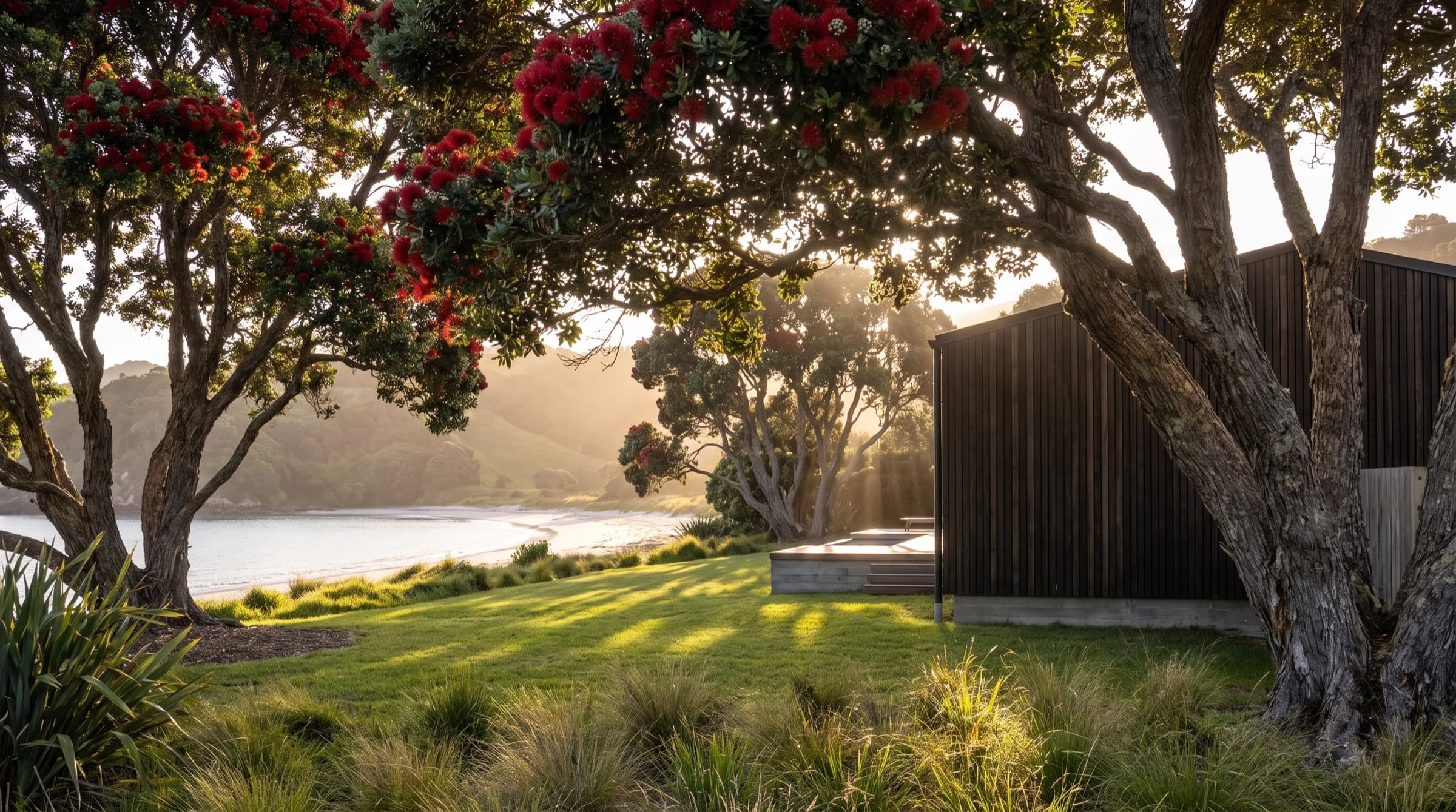 Looking out through the gnarled trunks and red flower of the pōhutukawa to the bay, the house low at one side